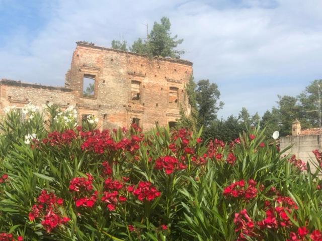 Antico Borgo Di Liteggio Bed and Breakfast Cologno al Serio Buitenkant foto